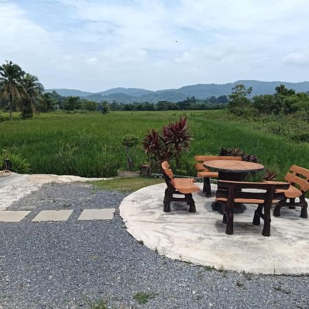 Damai D Homestay Kangar Dış mekan fotoğraf